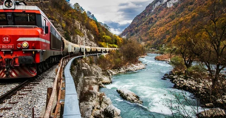 750 x 500_NASLOVNA_ZASAVSKI FORUM_2024