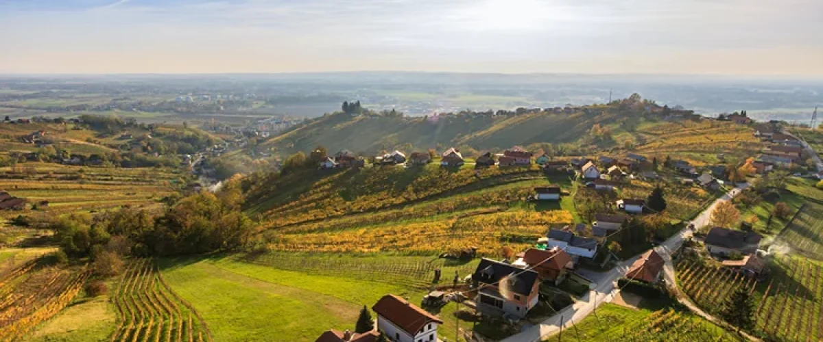 750-x-500_TM_LEK_2023